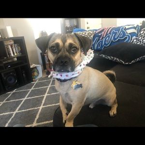 Meet your Posher, Felicia